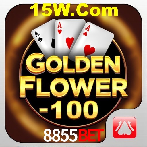 Interface Premium 8855Bet