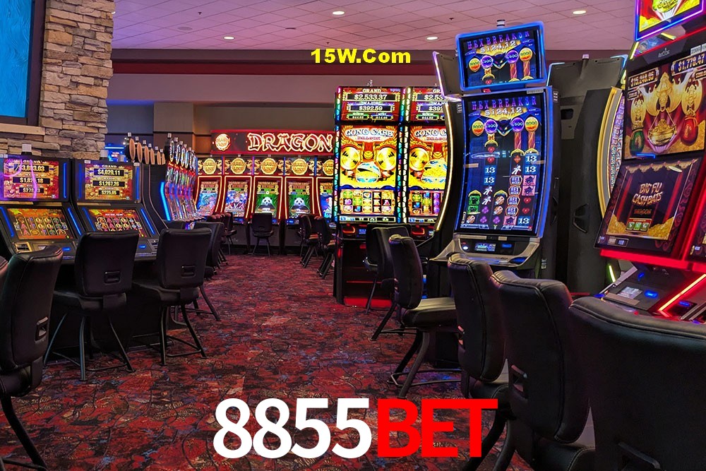 Experiência VIP 8855Bet