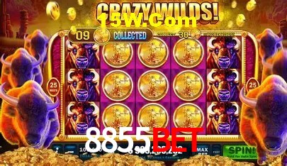 8855Bet Vip